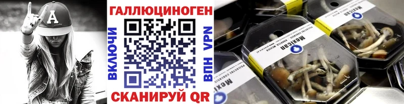 Псилоцибиновые грибы GOLDEN TEACHER  дарнет шоп  Калининец 